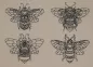 Preview: Stickdatei Set 4 Bienen Lineart in 10x10cm