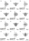 Preview: Stickdatei Set 4 Bienen Lineart Preview: Stickdatei Set 4 Bienen Lineart