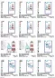 Preview: Stickdatei Set ITH Handyhüllen mit maritimen Gnomen Preview: Stickdatei Set ITH Handyhüllen mit maritimen Gnomen