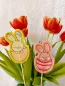 Preview: Stickdatei Set Osterhasen ITH Stabdesigns, Foto mit zwei Designstäben vor einem Tulpenstrauß. 1 mal Osterhase in halber Eierschale kauernd; 1 mal Osterhase in einer halben Eierschale, sich herunterbeugend.