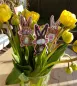 Mobile Preview: Stickdatei Set ITH-Stecker in Hasen- und Eiform, Foto mit 3 Designstäben in einer Blumenvase mit Tulpen. Alles stehender Hase mit entsprechendem Umriss, Ostereimotiv auf Bauch, unterschiedliche Farben.