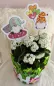 Preview: Stickdatei Set Lovegnomes ITH Stabdesigns, Foto zeigt Blumentopf mit Blütenpflanze und 2 bunten Designstäben. 1 mal Gnom auf Fliegenpilz mit Liebesbrief in der Hand; 1 mal Gnom mit Herzluftballons.