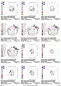 Preview: Stickdatei Set ITH Osterkörbe (div. Rahmengrößen), Übersicht mit 12 Dateien. 8 mal für Beutel mit diversem Hase-Kranz-Motiv. 4 mal Einzelmotiv Hase im Kranz.