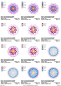 Preview: Stickdatei Set 8 Mandalas Line Art