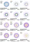Preview: Stickdatei Set 8 Mandalas Line Art