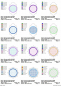 Preview: Stickdatei Set ITH Mug Rugs XXL mit 102 Dateien Preview: Stickdatei Set ITH Mug Rugs XXL mit 102 Dateien