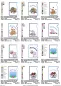 Preview: Stickdatei Set ITH Mutterpass-Hüllen für DE und AT + Einzelmotive, Übersicht über 12 Designs mit 6 diversen Stickmotiven, jedes einmal mit und ohne Schriftzug "Mutterpass". Motive: Faultiere auf Ast; Füchse; sitzender Gnom; Gnom mit Herzluftballons; Herz