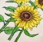 Preview: Drei Sonnenblumen mit Stiel und Blättern schräge Ansicht