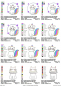 Preview: Stickdatei Spar-Set Cat Doodle Applikationen inkl. ITH Anhänger, Übersicht mit 12 Applikationsdateien. 9 mal Einhorn-Katze, diverse Ausführung; 3 mal Katze mit Halskrause.