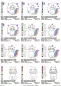 Preview: Stickdatei Spar-Set Cat Doodle Applikationen inkl. ITH Anhänger, Übersicht mit 12 Applikationsdateien. 9 mal Einhorn-Katze, diverse Ausführung; 3 mal Katze mit Halskrause.