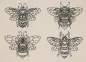 Preview: Stickdatei Set 4 Bienen Lineart in 10x10cm