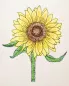 Mobile Preview: Sonnenblume mit Stiel und Blättern
