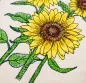 Preview: Stickdatei Set Sunflowers (div. Größen) Preview: Stickdatei Set Sunflowers (div. Größen)