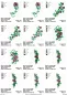Preview: Stickdatei Set Blumenzahlen (Vollstick), Übersicht mit 12 Dateien. Jeweils Einzelmotiv Rosen-Blätter-Ranke in diversen Varianzen.