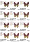 Preview: Stickdatei Schmetterling Vollstickmotiv Preview: Stickdatei Schmetterling Vollstickmotiv