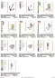 Preview: Stickdatei Set ITH Lichtbeutel Unterwasserwelt, Übersicht mit 10 Lichtbeutel-Dateien. 2 mal Anker; 2 mal Meerjungfrau; 2 mal Meermann; 2 mal Muschel; 2 mal Seepferdchen.