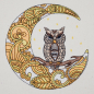 Preview: Stickdatei Set Magic Owl