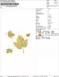 Preview: Übersicht Freebie Stickdatei Goldener Herbst Teil 1