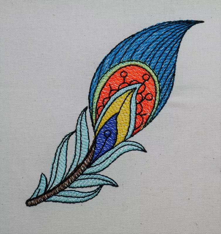 blaue Feder eines Pfaus mit verschieden farbigem Muster