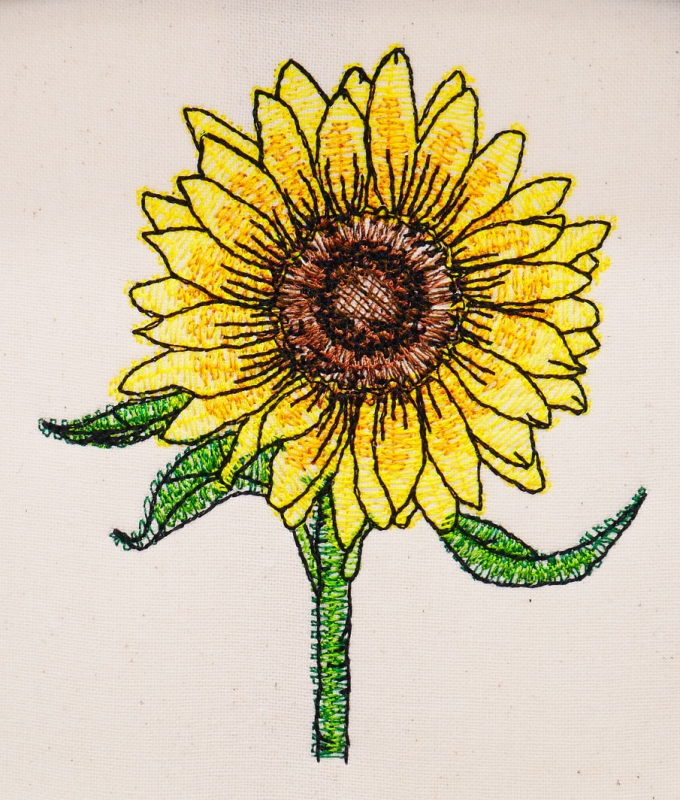 Sonnenblume mit Stiel