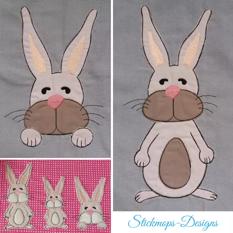 hase2 hase2