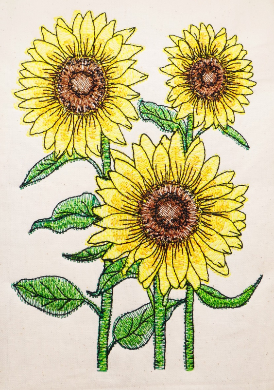 Drei Sonnenblumen mit Stiel und Blättern