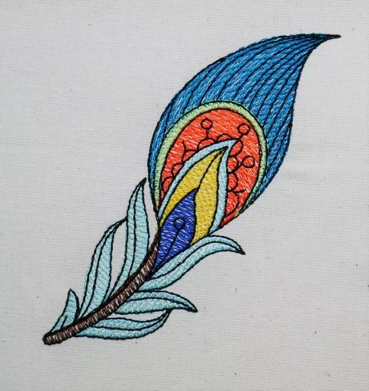 blaue Feder eines Pfaus mit verschieden farbigem Muster