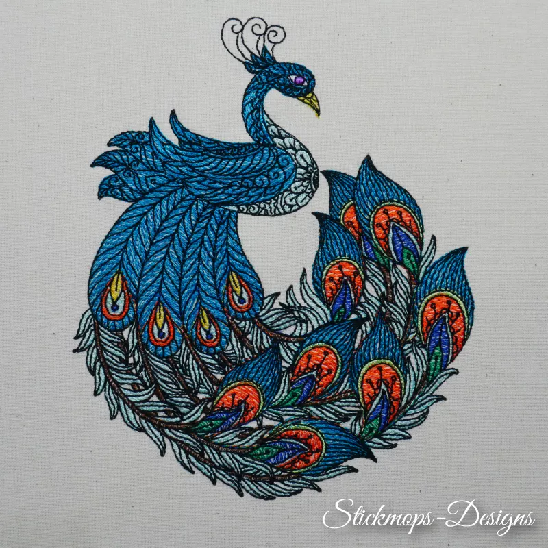 Pfau mit blauen Federn Pfau mit blauen Federn